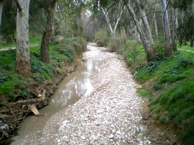 Ο Συνήγορος του Πολίτη για το ρέμα Πεντέλης-Χαλανδρίου